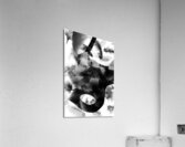 Harellucination Acrylic Print