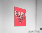 Sonnet  Acrylic Print