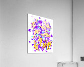 Reef romance Acrylic Print