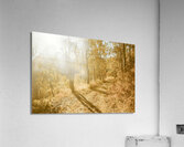 Autumns Adventure Acrylic Print