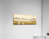 Layered depths of forests mountains and fog Acrylic Print