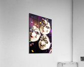 Masque Acrylic Print