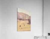 Old prairie Acrylic Print