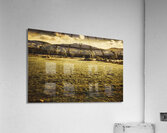 Open fields of Woodstock Tasmania Acrylic Print