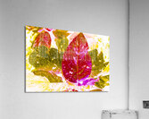 Forest of leafy hues Acrylic Print