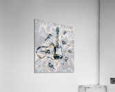 Light show Acrylic Print