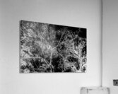 Of a elaborate design Acrylic Print