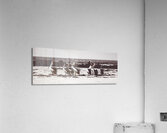 Pelican panorama Acrylic Print