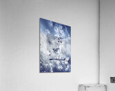 Mysterious carnival mask Acrylic Print