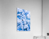 Deep blue Acrylic Print