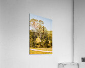 Quaint country view Acrylic Print