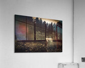 Beauty in dilapidation Acrylic Print