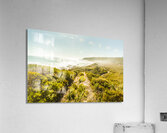 Misty ocean wilderness Acrylic Print