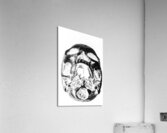 Skulls and dental records Acrylic Print