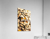 Rhetroric Acrylic Print