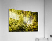 Jungle steams Acrylic Print