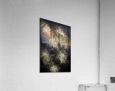 Frost ferns Acrylic Print