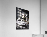 Escape the fate Acrylic Print