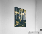 Tension on the high seas Acrylic Print