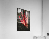 Blood Stained Hand Coming Out Of The Ground At Night Acrylic Print