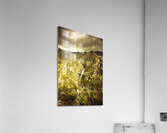 River Below Acrylic Print