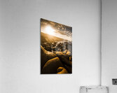 Sun bleached Australia beach Acrylic Print