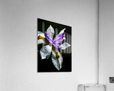 Tropical Iris Acrylic Print