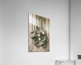 Timeworn tournament  Acrylic Print