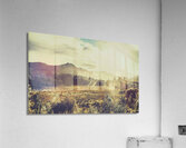 Sun bleached Australia Acrylic Print