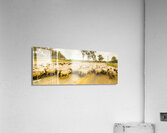 Outback road crossing Acrylic Print