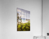 Paradisaical  Acrylic Print