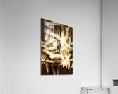 Freedom and independence Acrylic Print