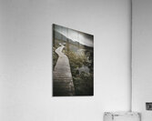 Dark dramatic winter landscape. Path of division Acrylic Print