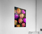 Summer moderns Acrylic Print