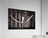 Bean dream Acrylic Print