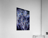 Midnights in dreamtime Acrylic Print