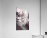 Fibonacci flowers in energy manipulation calculus Acrylic Print