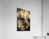 Manipulating the Trojans  Acrylic Print