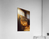 Club scotch Acrylic Print