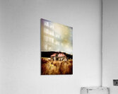 Fargone Farmhouse Acrylic Print