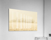 Icy cold foggy woodland Acrylic Print