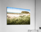 Spectacular Stanley Acrylic Print