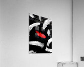 A different design Acrylic Print