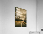 Twists and turns Acrylic Print