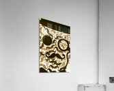 Hairy Hipster Acrylic Print