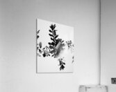 Connection to all that is Acrylic Print