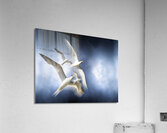 Freedom Acrylic Print