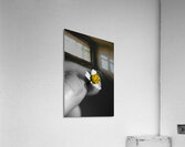 Baby Bloom Acrylic Print