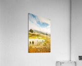 Puddled fields and distant hills Acrylic Print