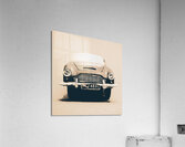 Martin miniature  Acrylic Print